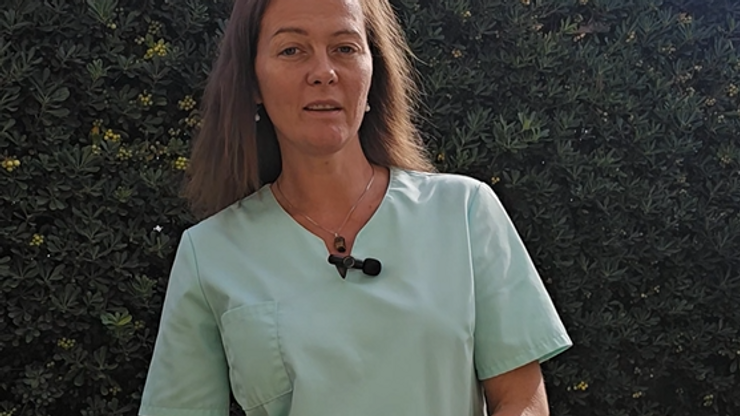 01_04_06_Summery_Nutrition